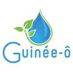 guineeo-logo